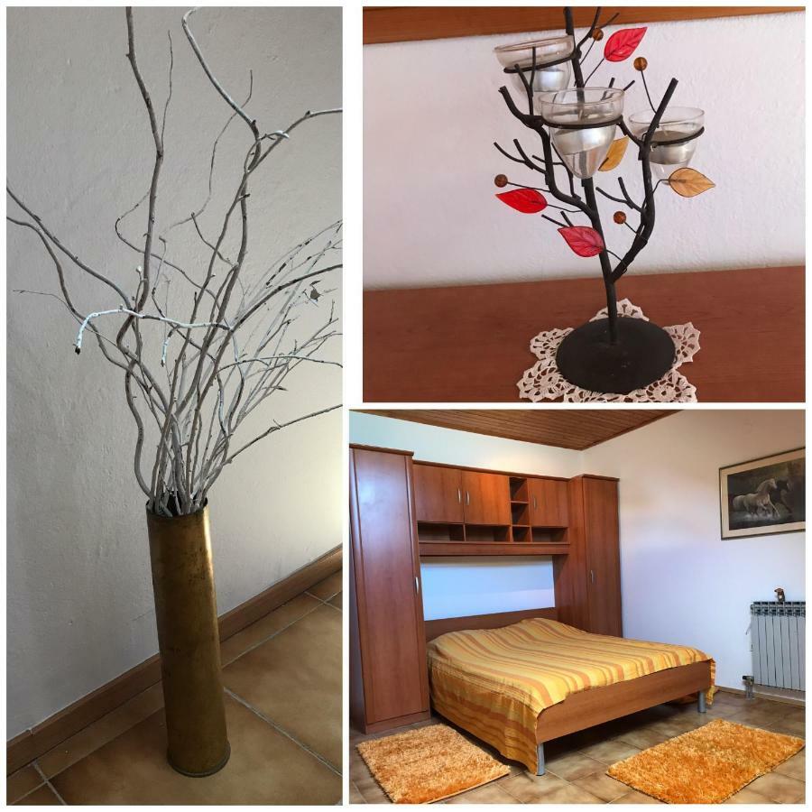 Lidija Apartment Zadar Bagian luar foto