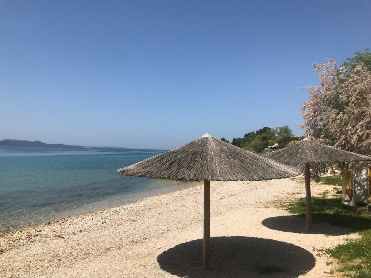 Lidija Apartment Zadar Bagian luar foto